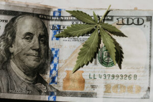 La marihuana fue durante años una de las industrias con más potencial de Estados Unidos. Ahora ha entrado en barrena