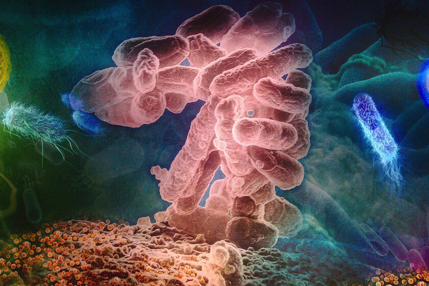 Unos microbiólogos han tardado 10 años en resolver un problema. Esta IA lo ha resuelto en dos días
