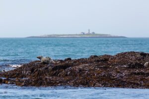 Esta isla estratégica y diminuta lleva en disputa 200 años. Y EEUU y Canadá siguen sin tener claro a quien le pertenece