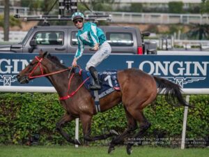 Romantic Warrior se alista - Líder en deportes