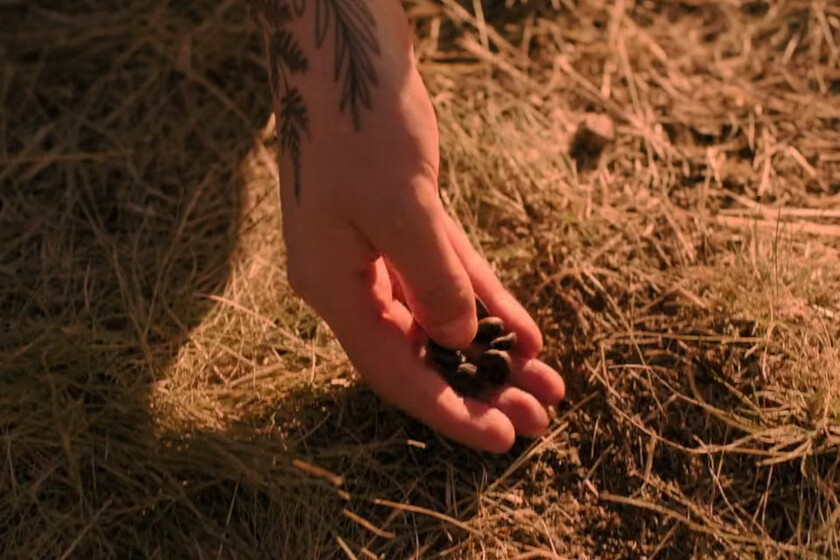 El café tiene un profundo significado en 'The Last of Us' que une a Ellie y Joel. Y su presencia en esta escena inédita nos ayuda a llevar mejor el dolor