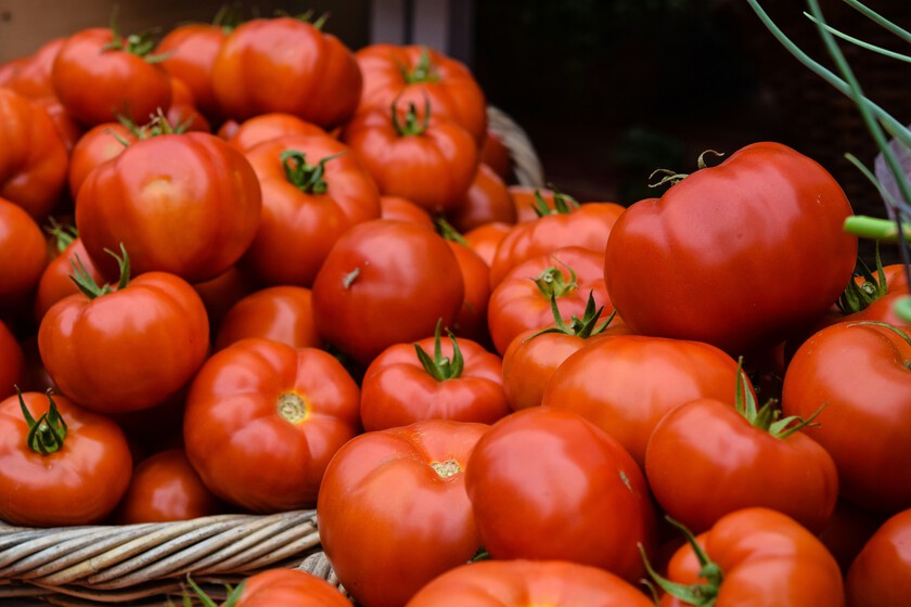 España ha llenado Europa de tomates excelentes que no saben a nada. Es hora de dar un paso más allá