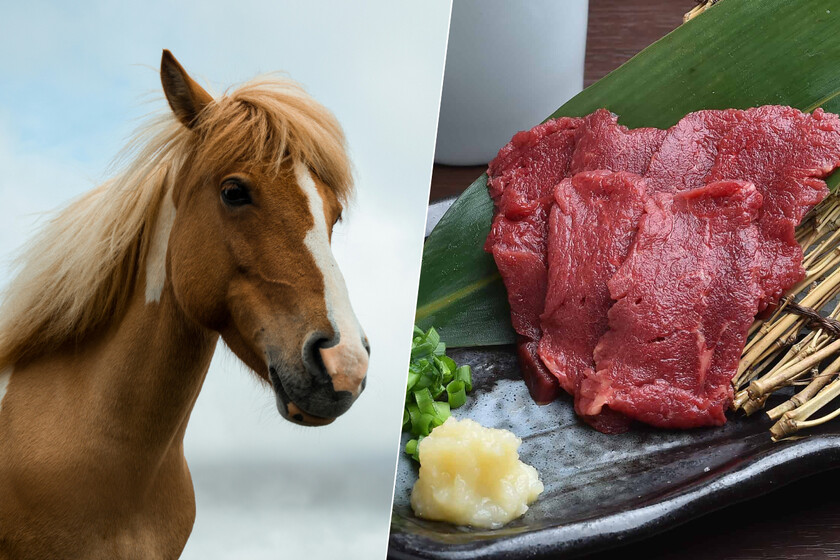 En plena subida de los alimentos, un producto barato está causando polémica en Europa: la carne de caballo