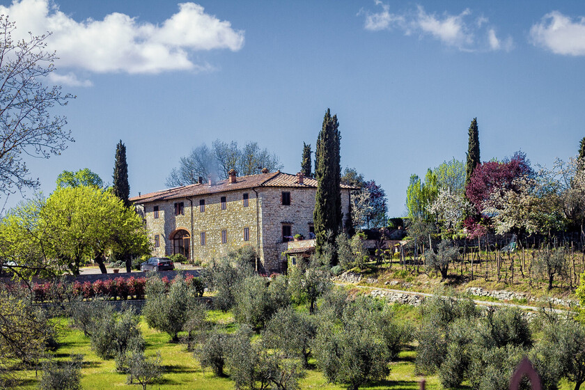 Italia ha pasado de gran potencia del olivo a una decadencia irremediable. Es el precedente más peligroso para España