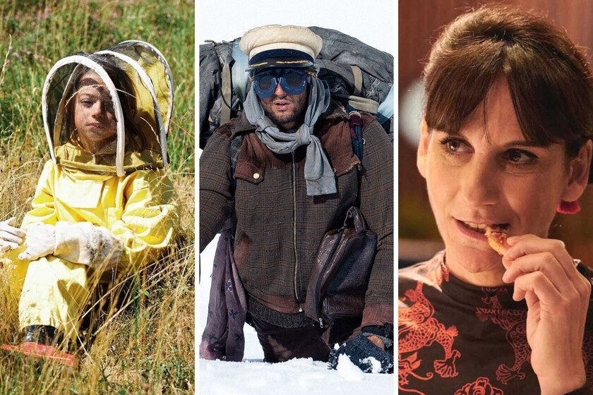 Dónde ver en streaming todas las películas premiadas y lista completa de las ganadoras