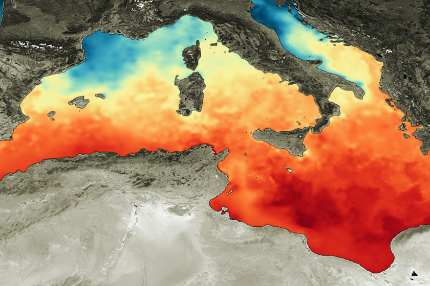 sobreexplotación, contaminación y ahora meses de una terrible ola de calor