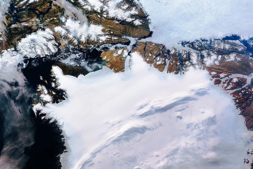 La vegetación se abre paso en Groenlandia. Evidentemente, es una pésima noticia