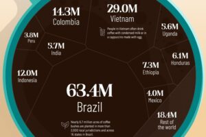 Los principales países productores de café del mundo, en este llamativo gráfico