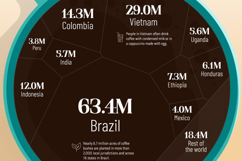 Los principales países productores de café del mundo, en este llamativo gráfico