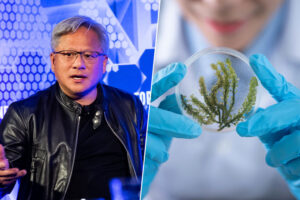 El CEO de NVIDIA confiesa qué carrera cursaría y es muy mala noticia para la informática