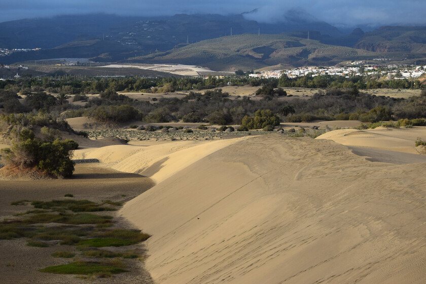 un destrozo en las dunas