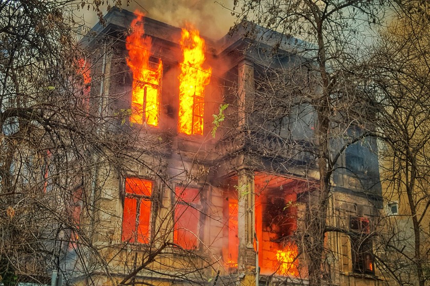 Miles de personas están debatiendo sobre salvar a su perro o a un humano en caso de incendio. No sirve para nada