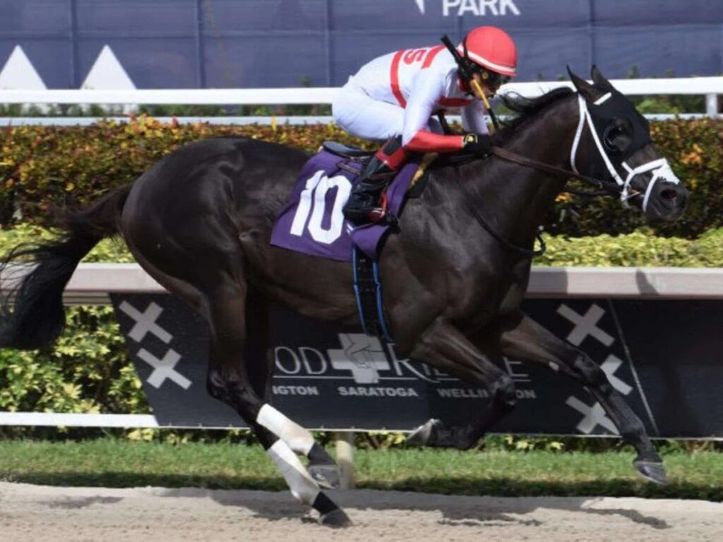 Bentornato rumbo a Arabia - Líder en deportes