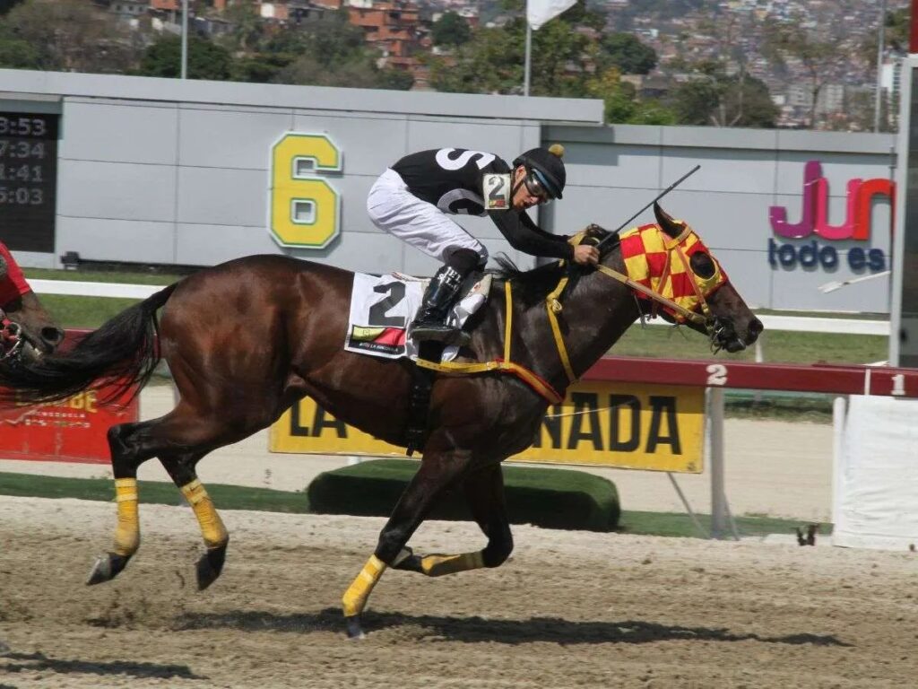 Gran Sabanero se adjudicó Condicional de los caballos