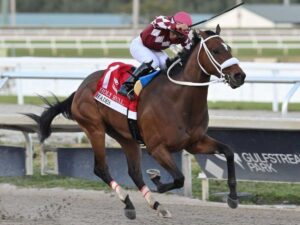 Hades mantuvo el invicto al vencer en el Holy Bull Stakes