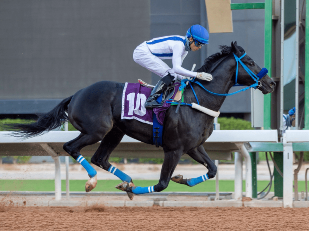 Fiesta de la Saudí Cup copa la atención de la hípica