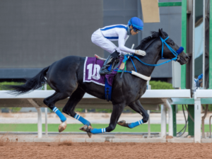Fiesta de la Saudí Cup copa la atención de la hípica