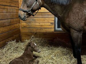Nació primer hijo de la campeona Letruska