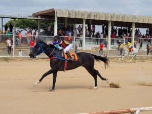 Mañana se corren cinco carreras en Paraguaná