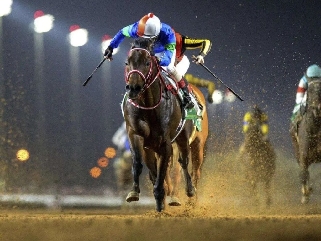 Confirmados 5 corceles japoneses para la Saudi Cup