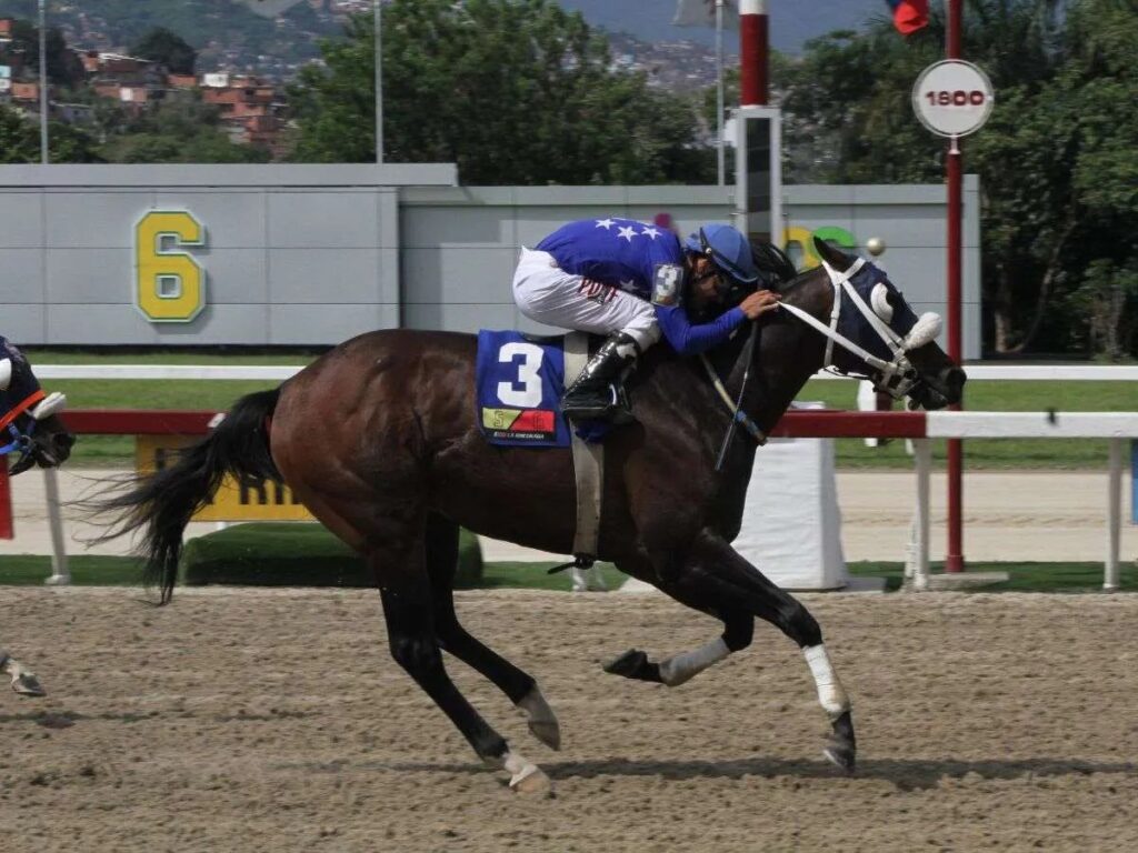 Sun Classic en la mejor rentada