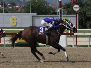Sun Classic en la mejor rentada