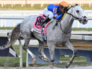 White Abarrio sigue en forma