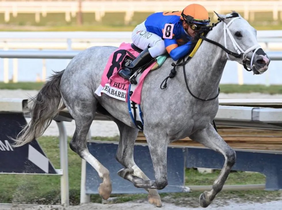 White Abarrio sigue en forma