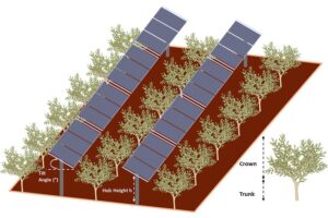 Jaén demuestra que combinar el aceite de oliva con la fotovoltaica es rentable