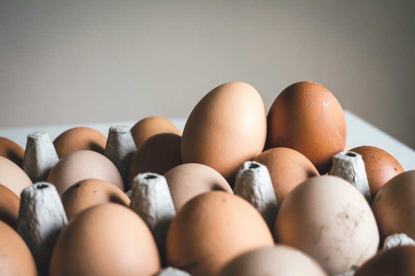 Los huevos de Estados Unidos se están rompiendo más de lo normal. Hay una explicación: la gripe aviar