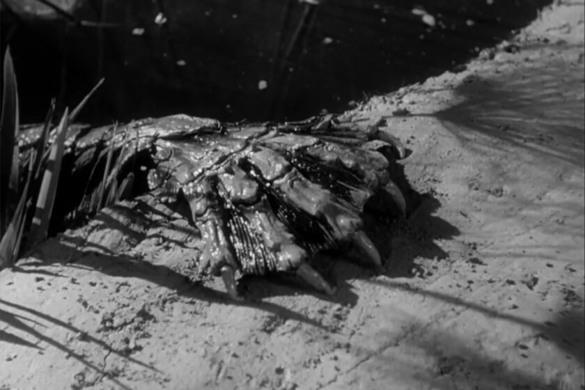 70 años de una de las mejores películas de monstruos de la historia. Una mezcla de terror y ciencia ficción que marcó a directores como Guillermo Del Toro y puedes ver en streaming