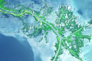 El agua del golfo de México asciende tres veces más rápido que en otros lugares. Unos científicos creen saber por qué