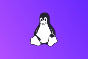 Linux sobrepasa el 4% de cuota de mercado por primera vez en la historia. Linus Torvalds sabe cómo llevarla aún más allá