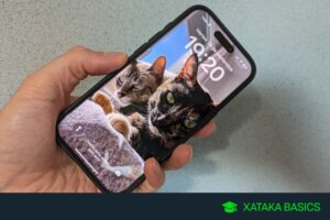 Dos maneras de cambiar el navegador por defecto en iOS tras iOS 17.4