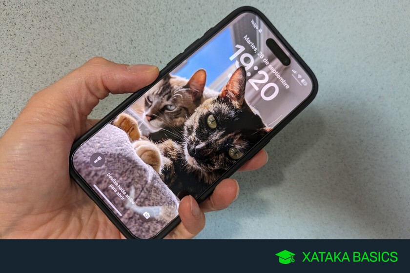 Dos maneras de cambiar el navegador por defecto en iOS tras iOS 17.4