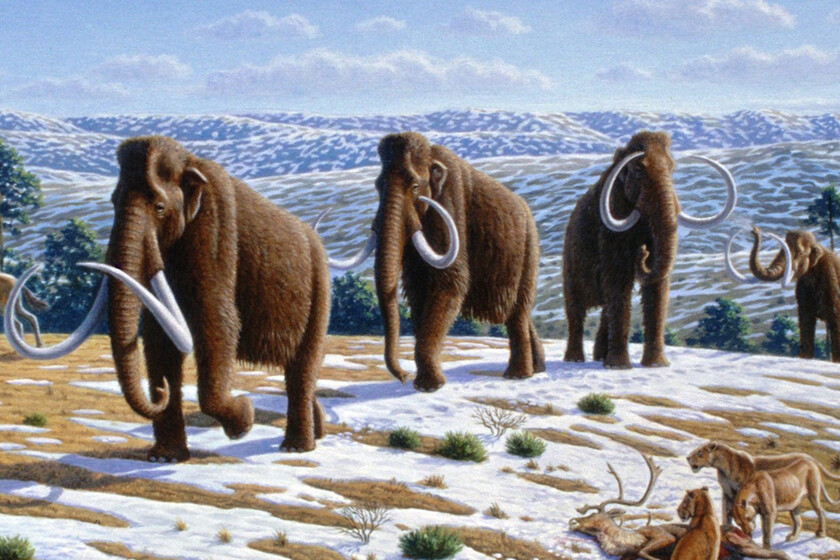 La recuperación del mamut es el buque insignia de una empresa estadounidense. Ahora acaba de dar un paso importante