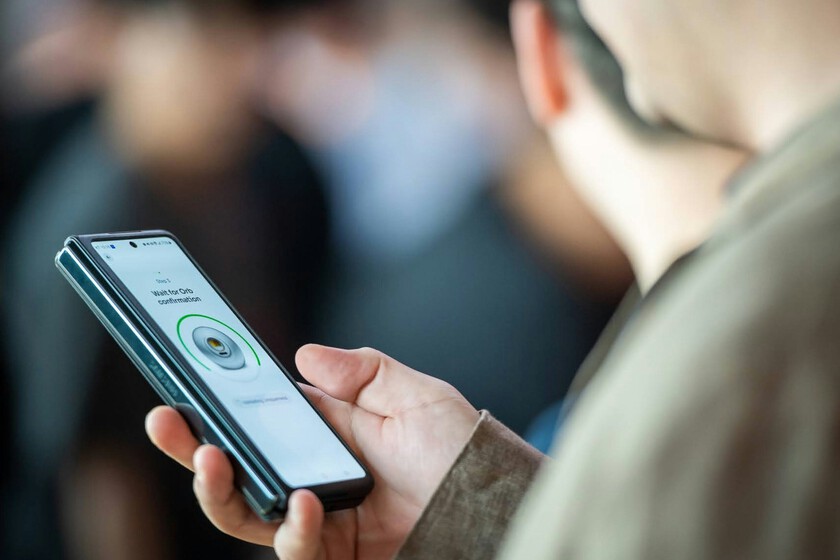 qué va a pasar mientras tanto