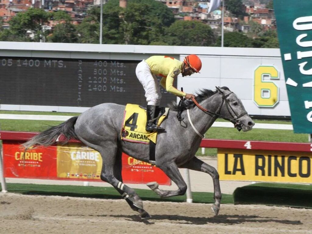 Samantha Girl y Arcano acaparan favoritismo