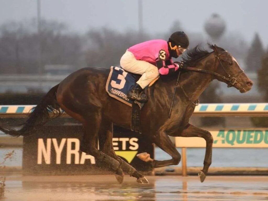 Deterministic se anotó el Gotham Stakes de Aqueduct