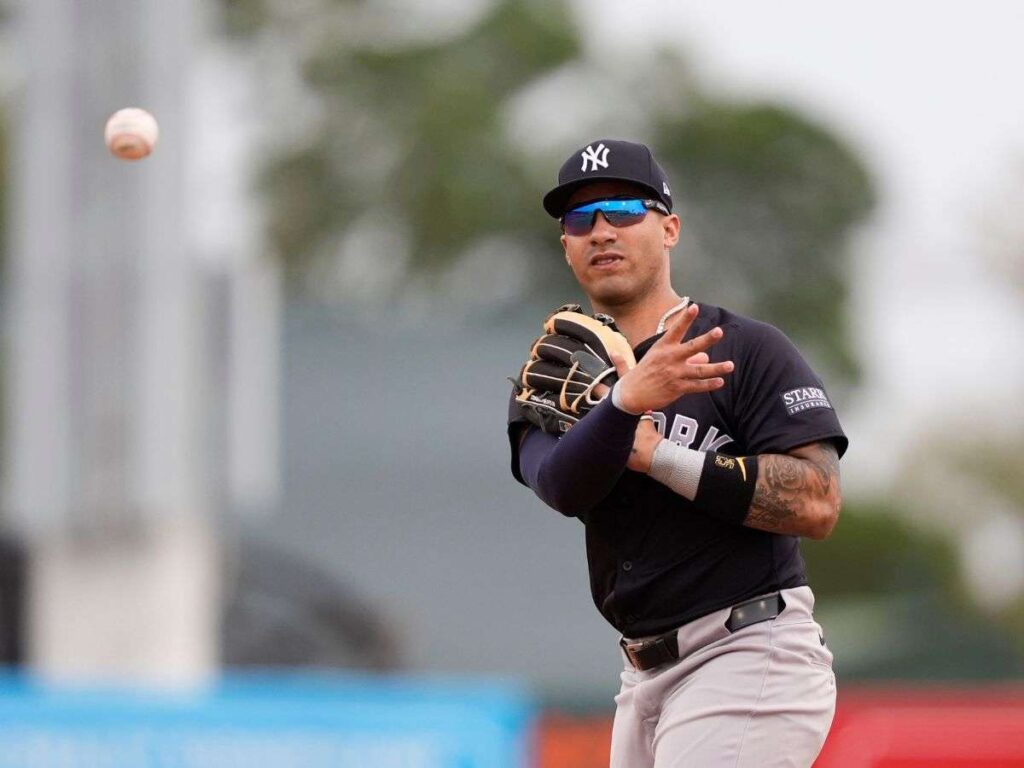 Cuota venezolana en Yankees vive altibajos en el ST 2024