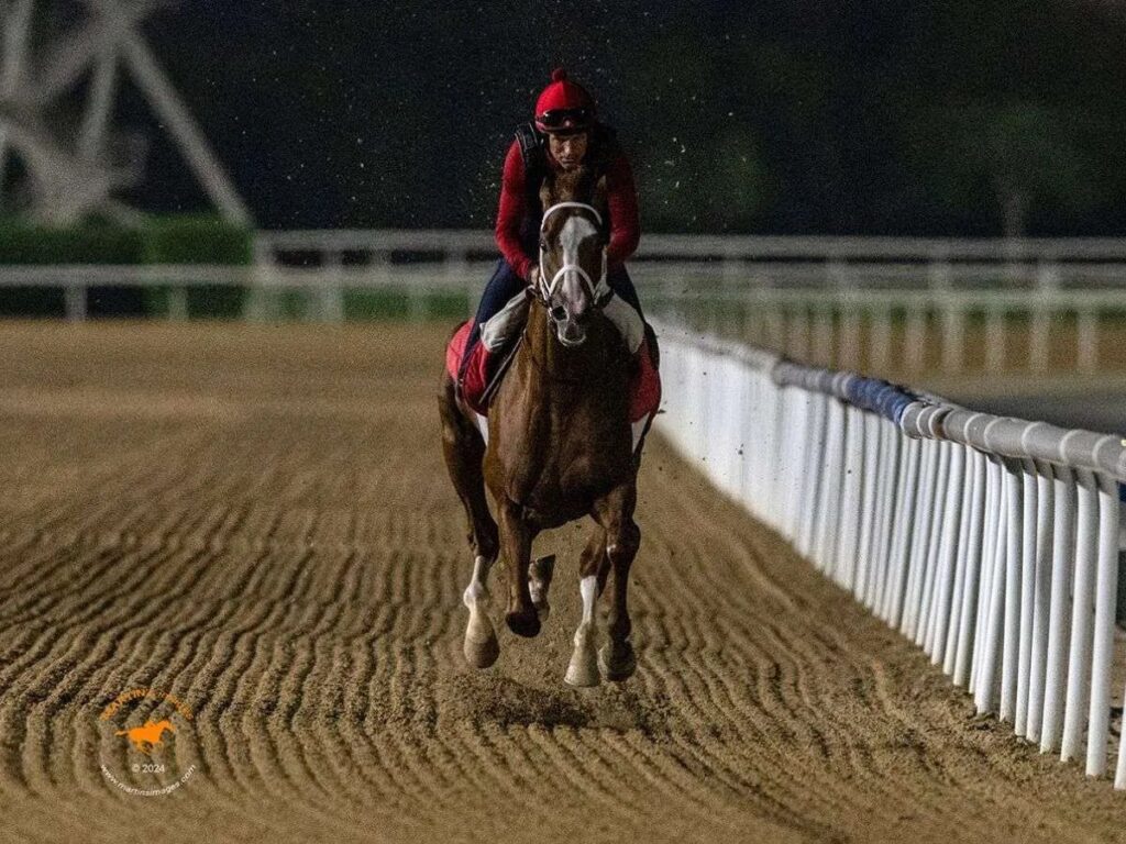 Kabirkhan acapara la atención de la Dubai