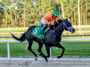 Kikito estará presente en Meydan