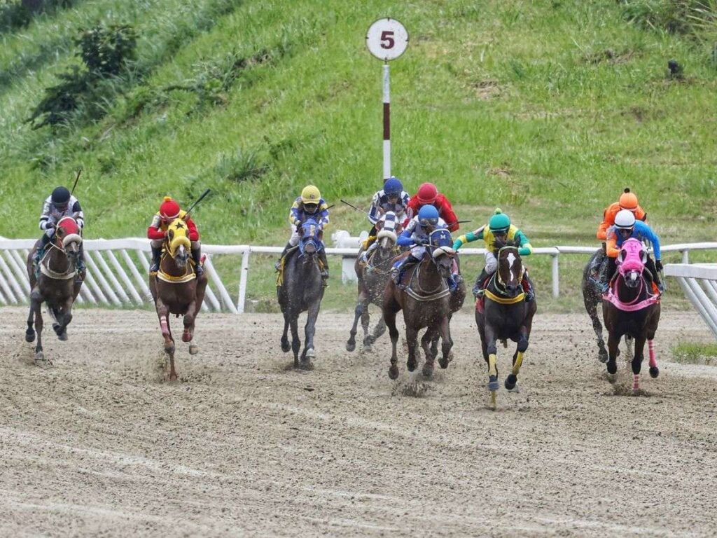 El 5 y 6 nacional iniciará en la cuarta carrera