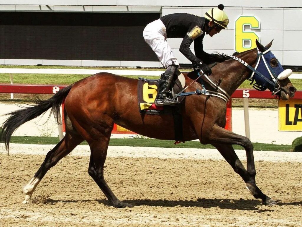 Money Is Money sorprendió en la tercera del programa