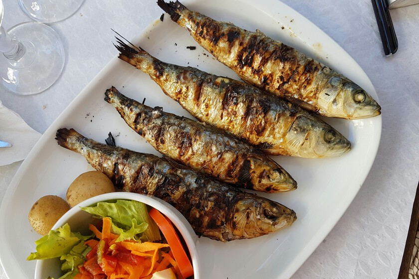 Nadie sospechaba que el "chuletón del futuro" fuera a ser una sardina, pero estos japoneses están convencidos de ello