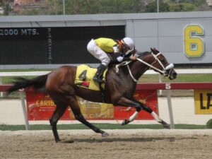 Daniela Runner va al Blondy