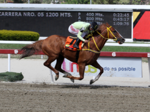 Copa Mundo Hípico se corre esta tarde