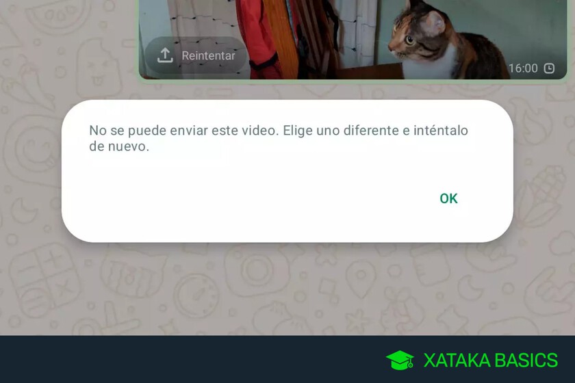 por qué se muestra este error y cómo solucionarlo