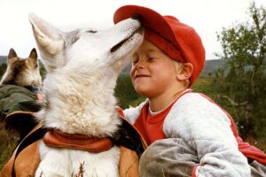 La ciencia ha estudiado durante cuánto tiempo recuerda un perro a su dueño. Estas son sus conclusiones