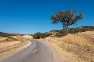 La ruta en coche más larga del planeta sin pisar costa tiene 14.043 kilómetros y se encuentra en un continente inesperado